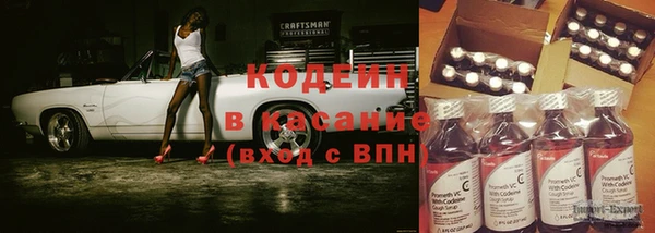 хмурый Арсеньев