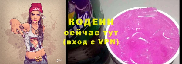 хмурый Арсеньев