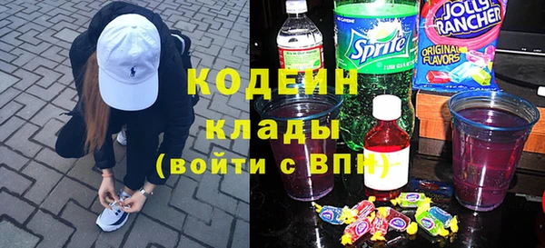 хмурый Арсеньев