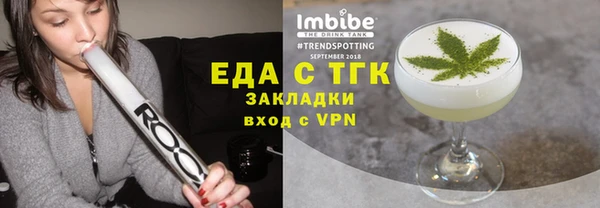 хмурый Арсеньев