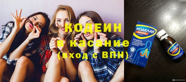 хмурый Арсеньев