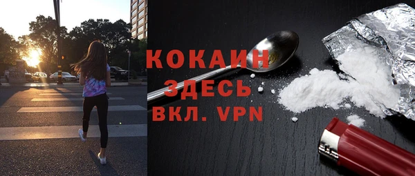 хмурый Арсеньев